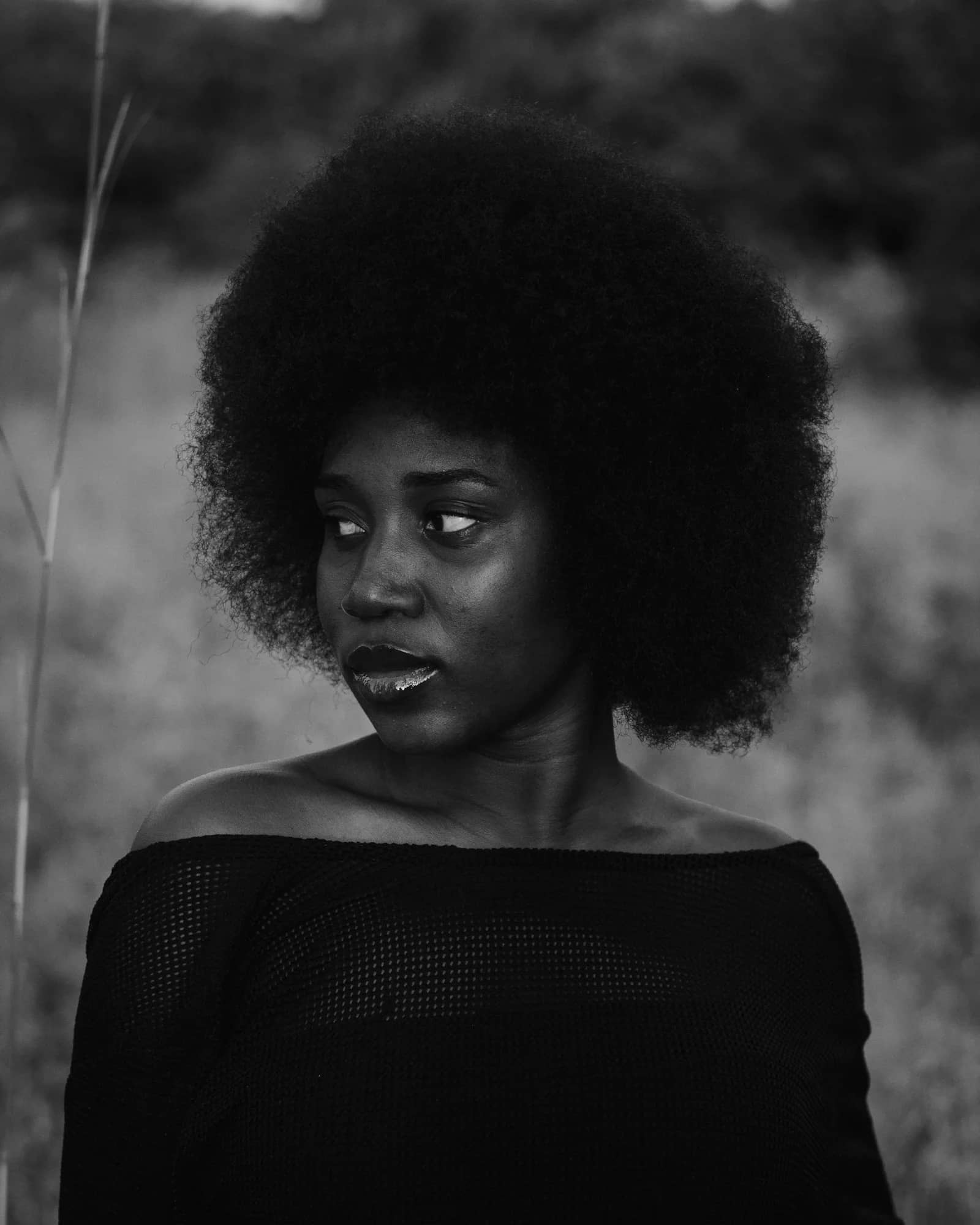 Black and white editorial portrait of Monalisa Johnson, Founder and CEO of Sierra Media Productions. STOCK PLACEHOLDER - swap with real founder portrait.